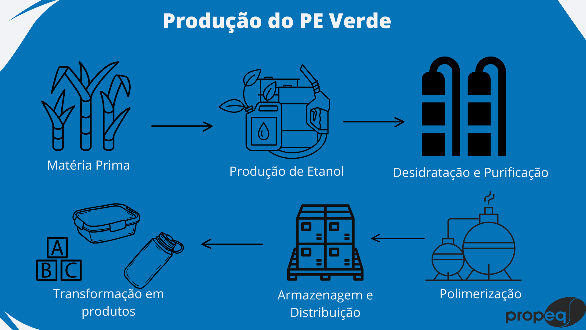 Biopol Meros Alavancando A Revolu O Do Pl Stico Propeq