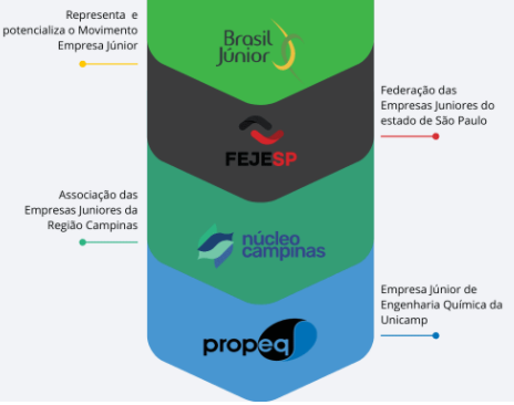 ilustração das organizações que compõem o Movimento Empresa Júnior, desde Brasil Júnior até a Empresa Júnior (Propeq)