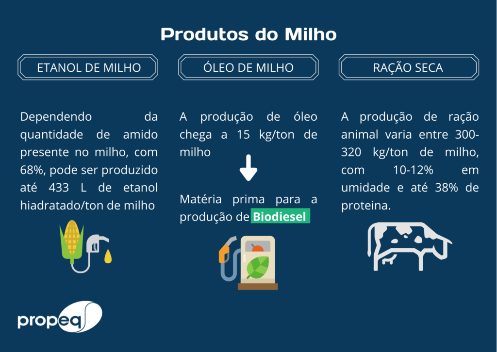 Imagem com fundo azul mostrando quais os tipos de produtos do milho