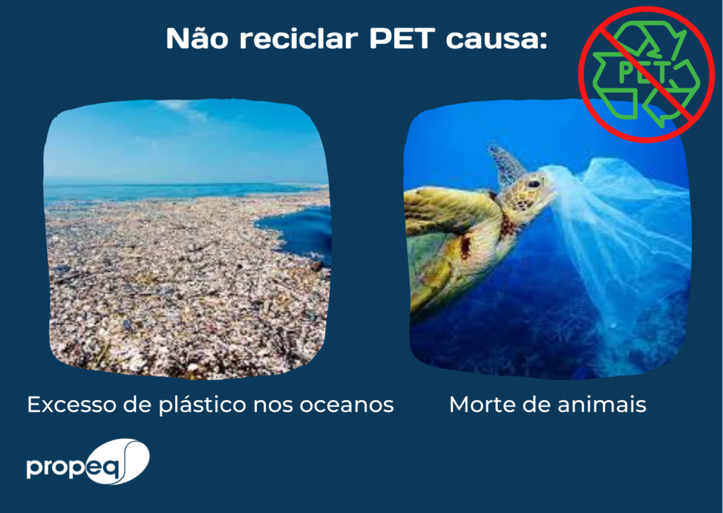 Imagem com fundo azul escuro e logo da Propeq. Nela, contém fotos de mostrando o prejuízo em afetar a biodiversidade dos mares e oceanos.