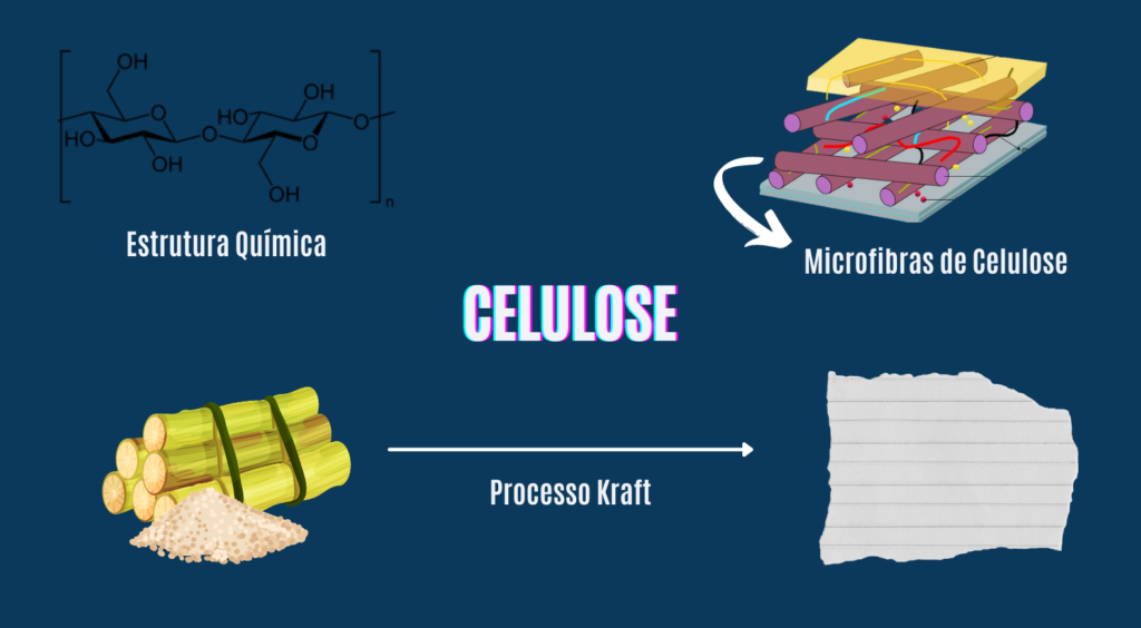 imagem com resumo da celulose e da produção de papel
