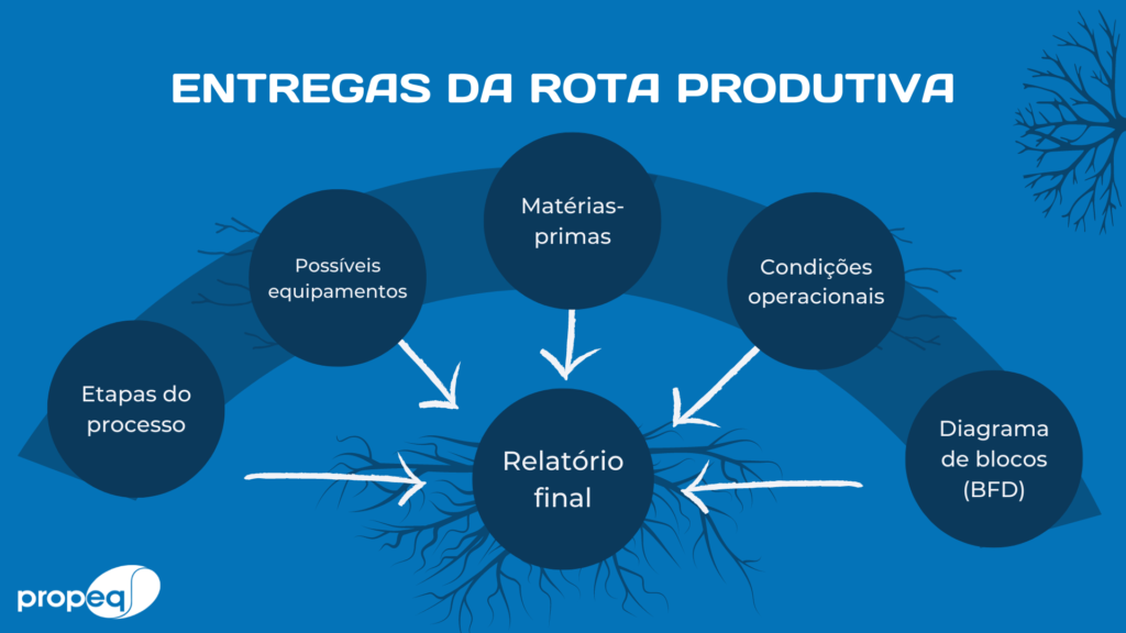 Entrega realizadas acerca da rota produtiva das embalagens feitas de micélio