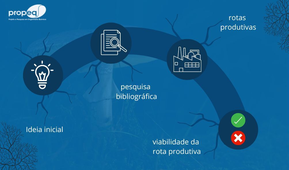 Etapas do primeiro projeto do micélio