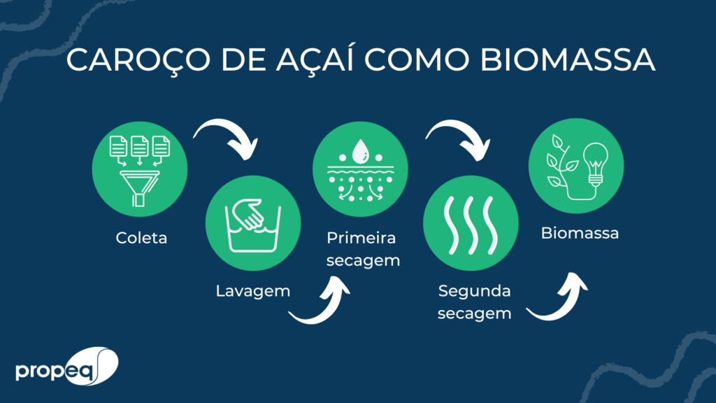 Conversão de caroço de açaí como biomassa para reduzir os GEEs