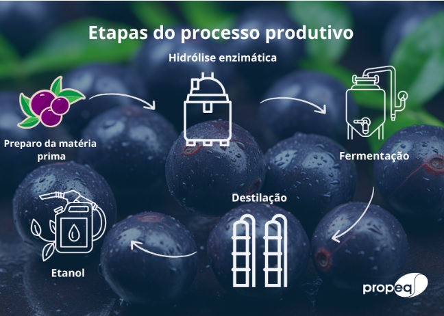 Saiba como produzir etanol a partir do caroço de açaí Propeq